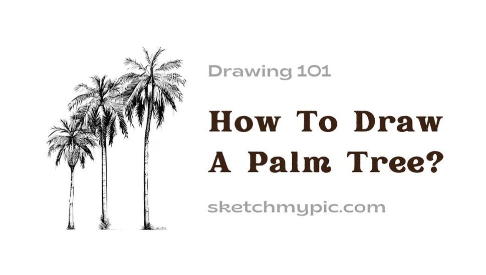 blog/How_To_Draw_A_Palm_Tree.jpg