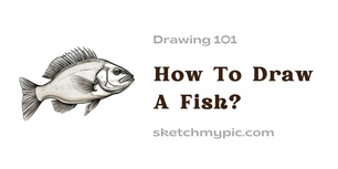 blog/How_To_Draw_A_Fish.jpg