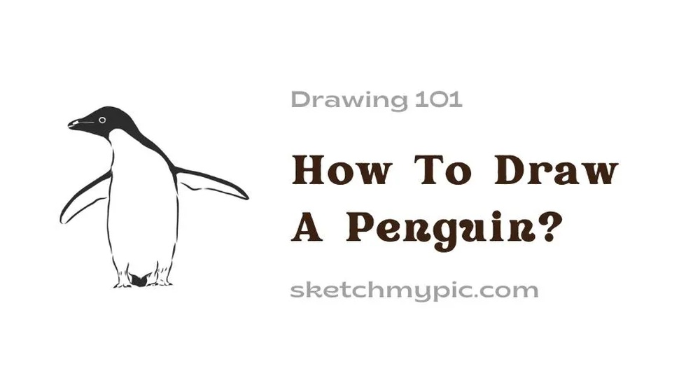blog/How_To_Draw_A_Penguin.webp