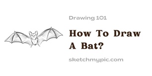 blog/How_To_Draw_A_Bat.webp