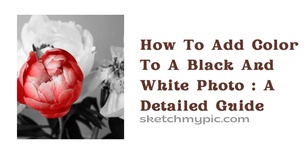 blog/How_To_Add_color_to_a_black_and_white_photo_A_Detailed_Guide.webp