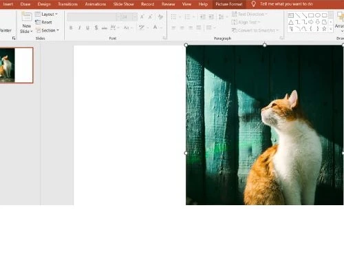 How to blur a picture