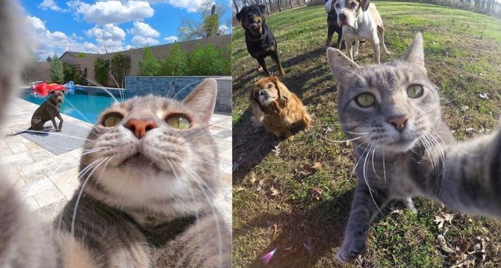 How to take 0.5 pictures