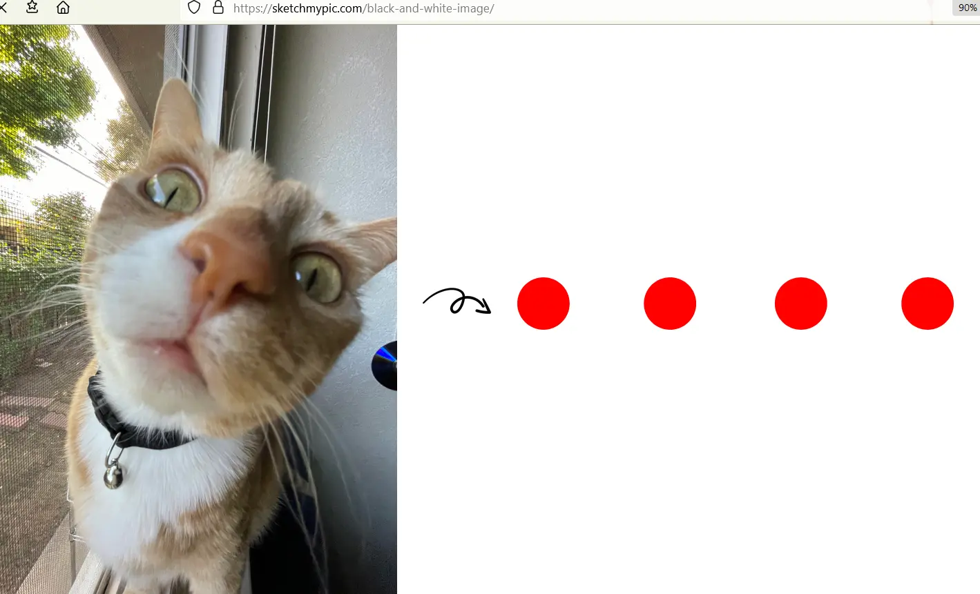 How to click 0.5 pictures
