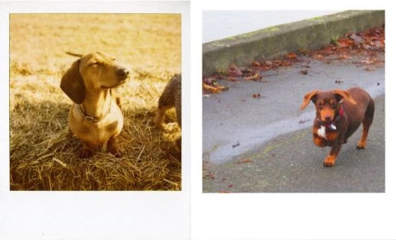 How to make polaroid pictures