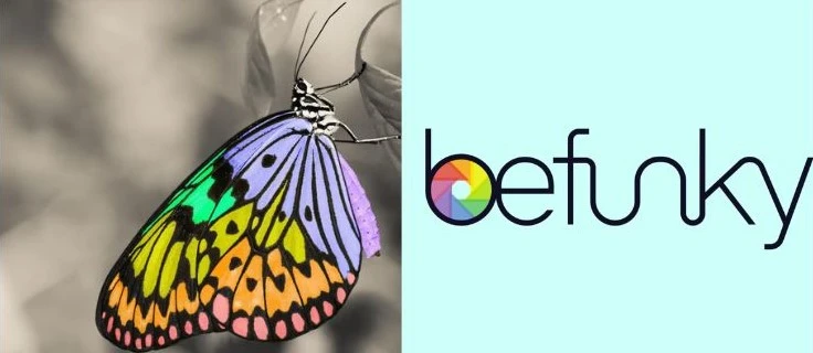 How To Add Color To A Black And White Photo
